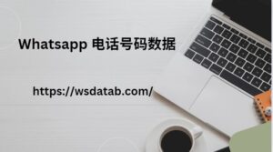 Whatsapp 电话号码数据